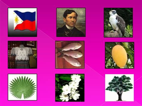 mga pambansang sagisag ng pilipinas|Mga Simbolo ng Bansang Pilipinas: National Symbols of the .